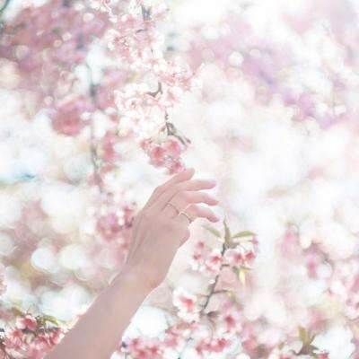 百人牛牛游戏软件下载手机版